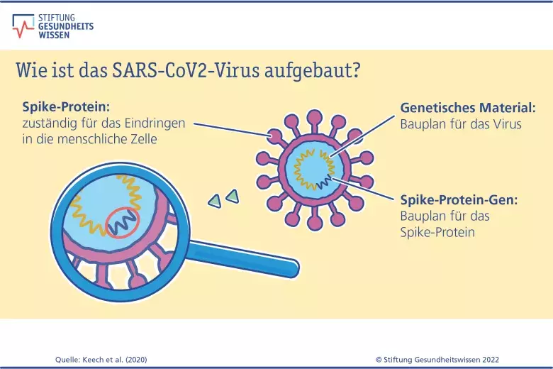 Die Grafik zeigt den Aufbau des SARS-CoV-2-Virus'.