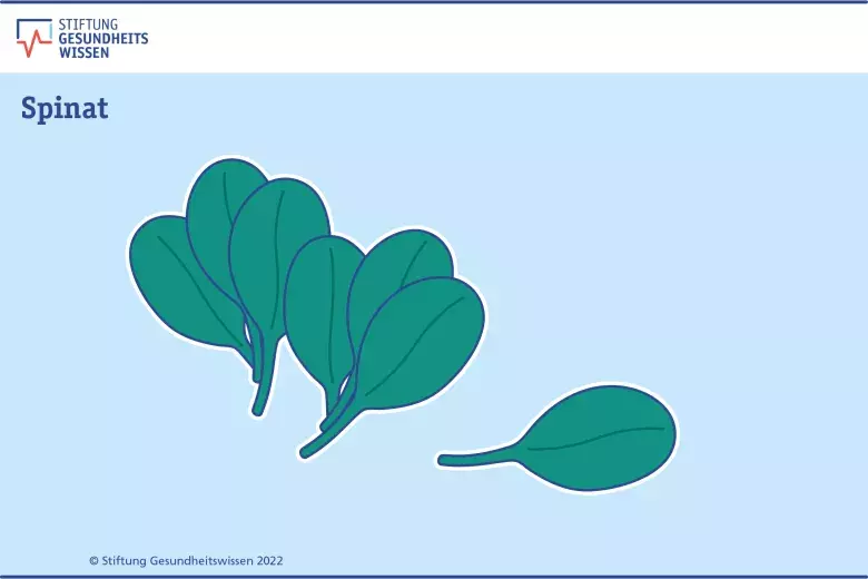 Die Grafik zeigt Spinat.