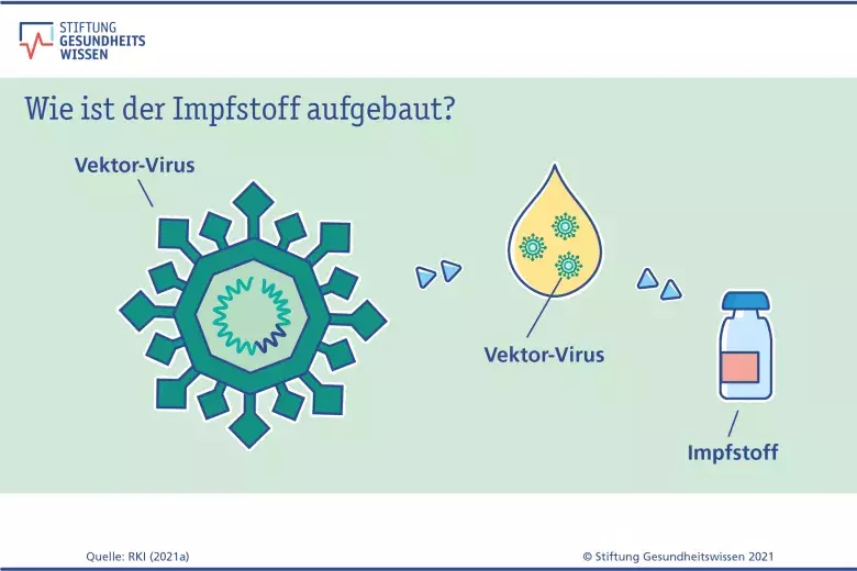 Grafik: Der Bauplan für das Spike-Protein wird in ein harmloses Virus eingebaut.