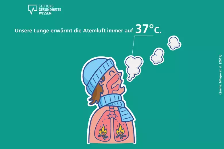 Die Lunge erwärmt die Atemluft immer auf 37°C.