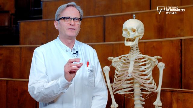 Prof. Blottner vor einem Skelett. Das Bild linkt auf den Film zum Thema Gelenke.